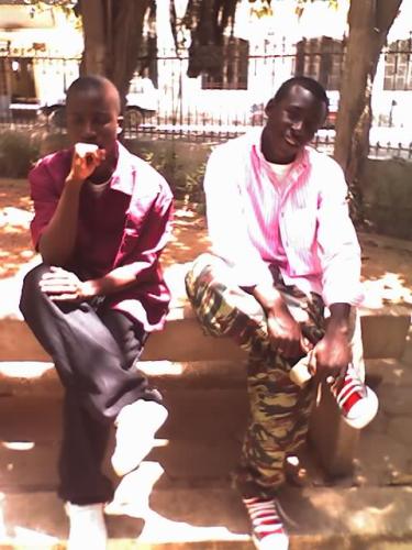 elgo vs yoz